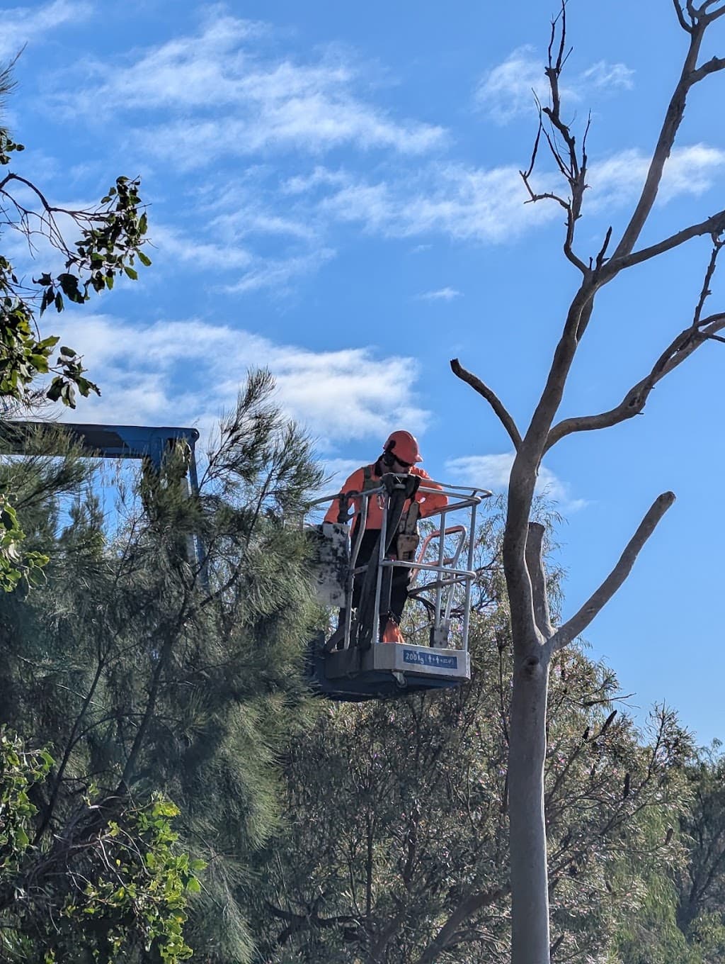 Harvey Tree Care