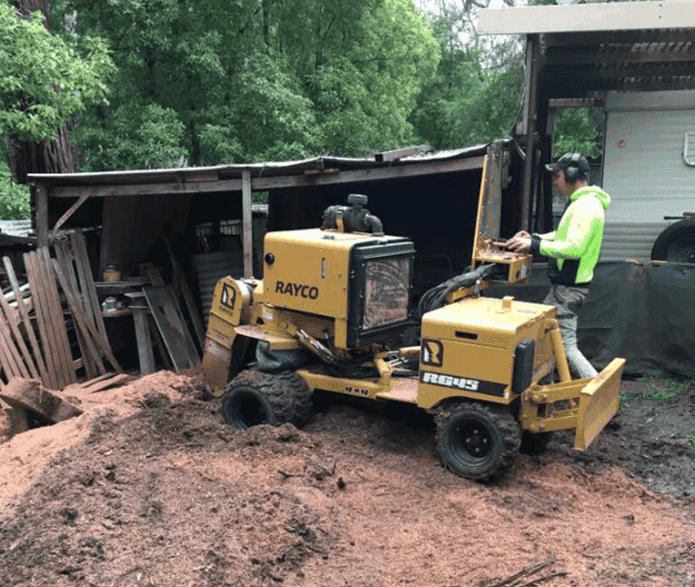 Allcare Tree & Stump Removal