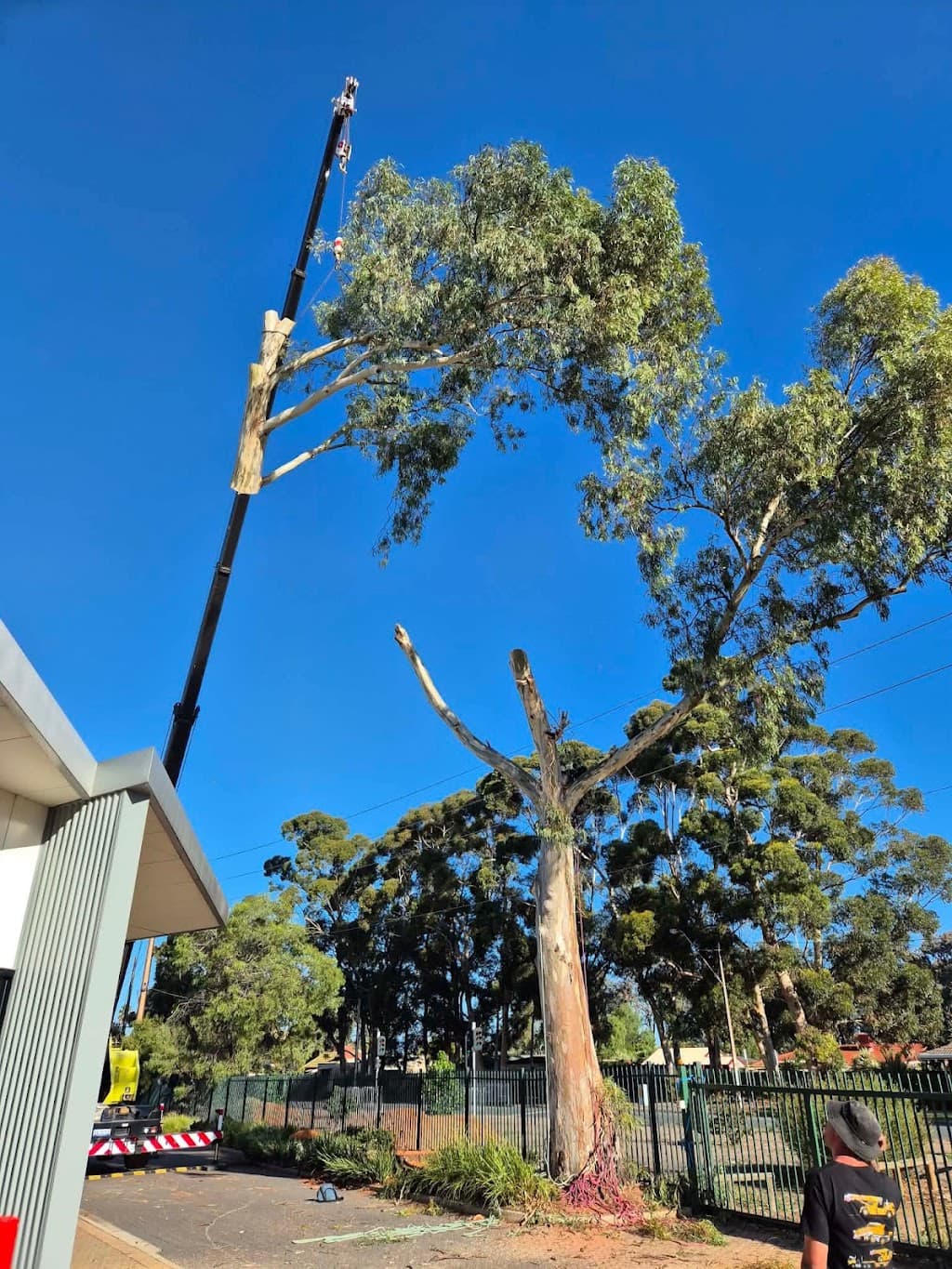 Cutting Edge Tree and Stump Services Ltd pty