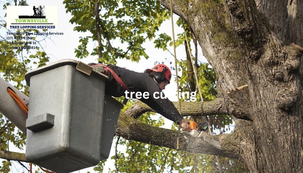 Townsville Tree Lopping Services