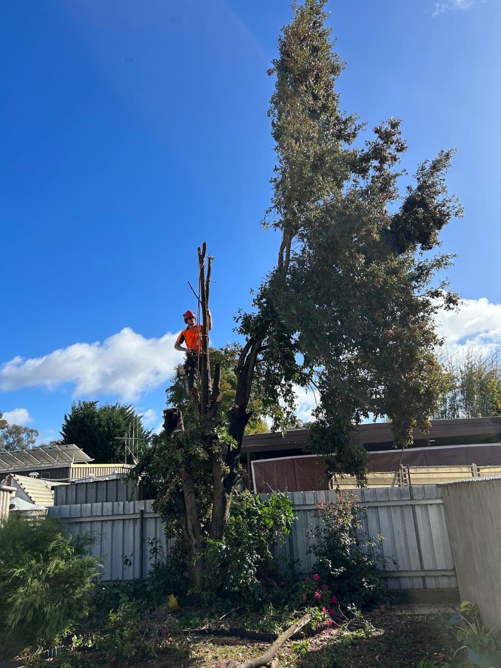 Cutting Edge Gardening