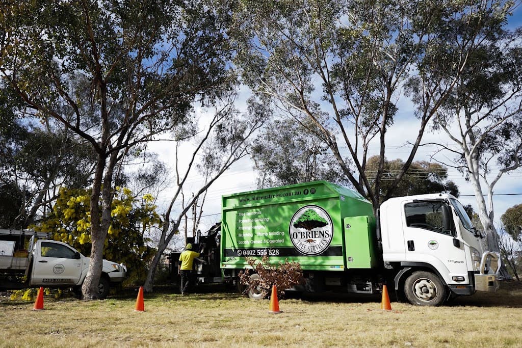 O'Briens Tree Services Canberra