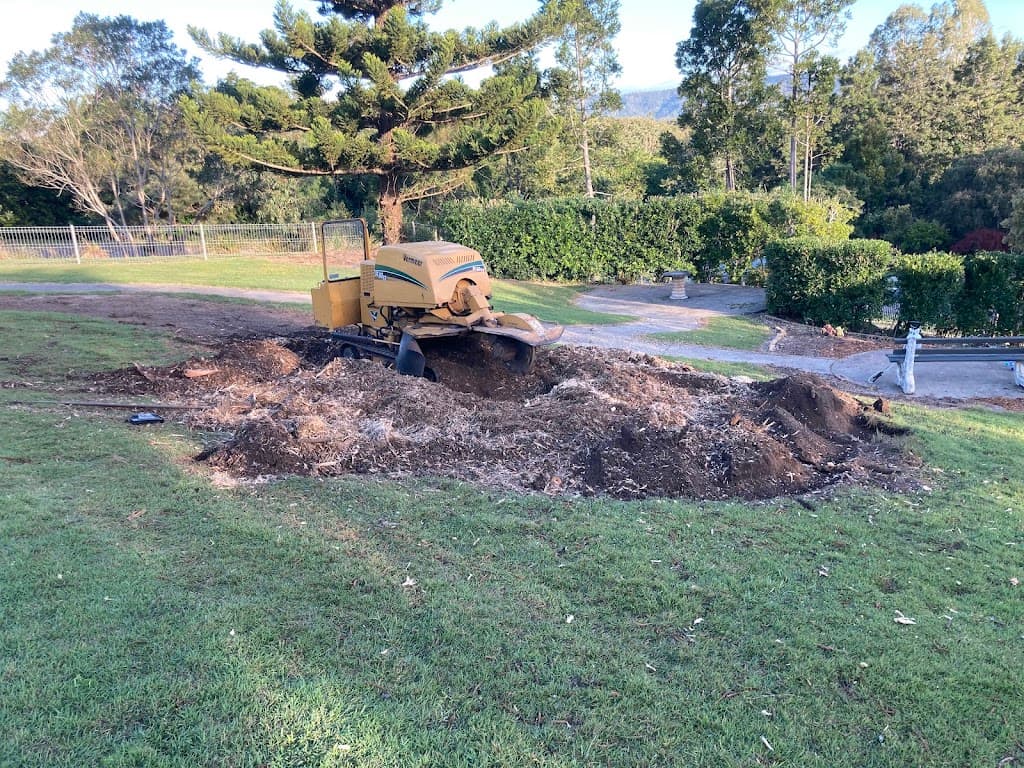 Northside Stump Grinding