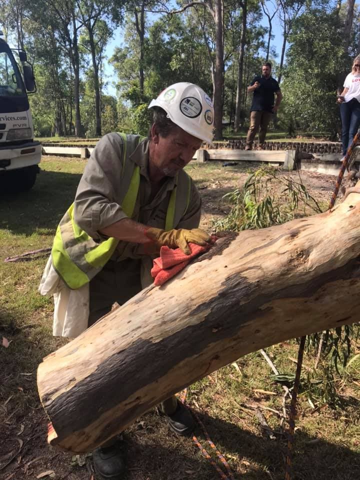 Frontier Tree Services