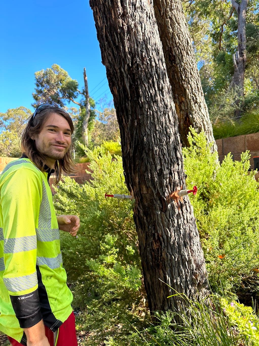 Urban Forest Care