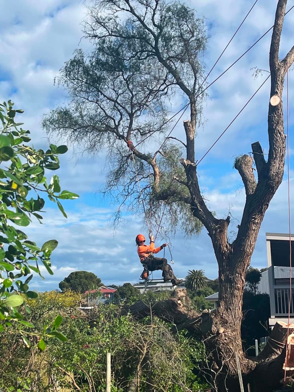 SA Tree Recyclers