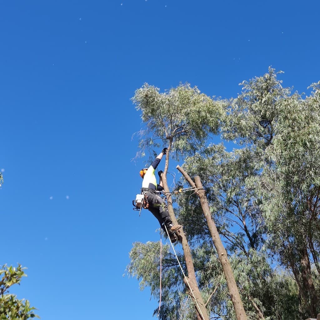 Four Seasons Tree Service