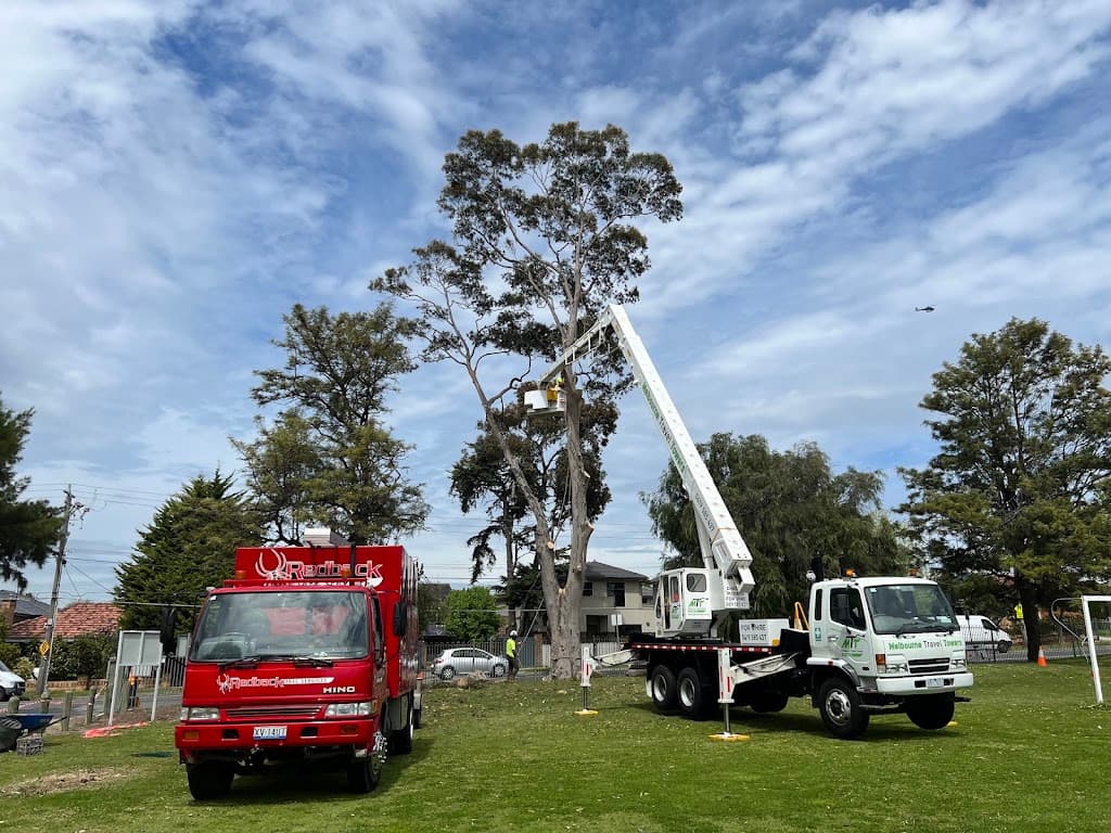 Redback Tree Services