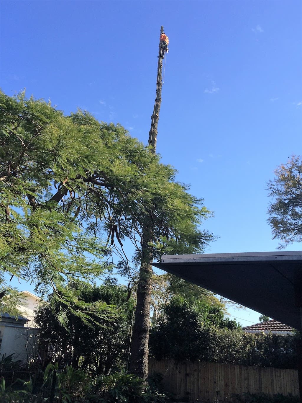 A-Local Tree Service Brisbane