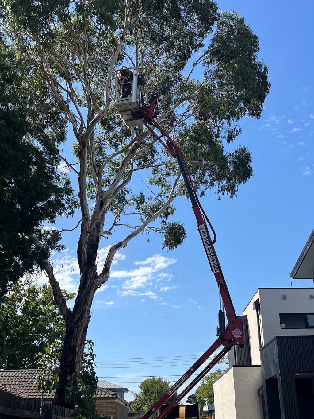 The Yard - Tree Services