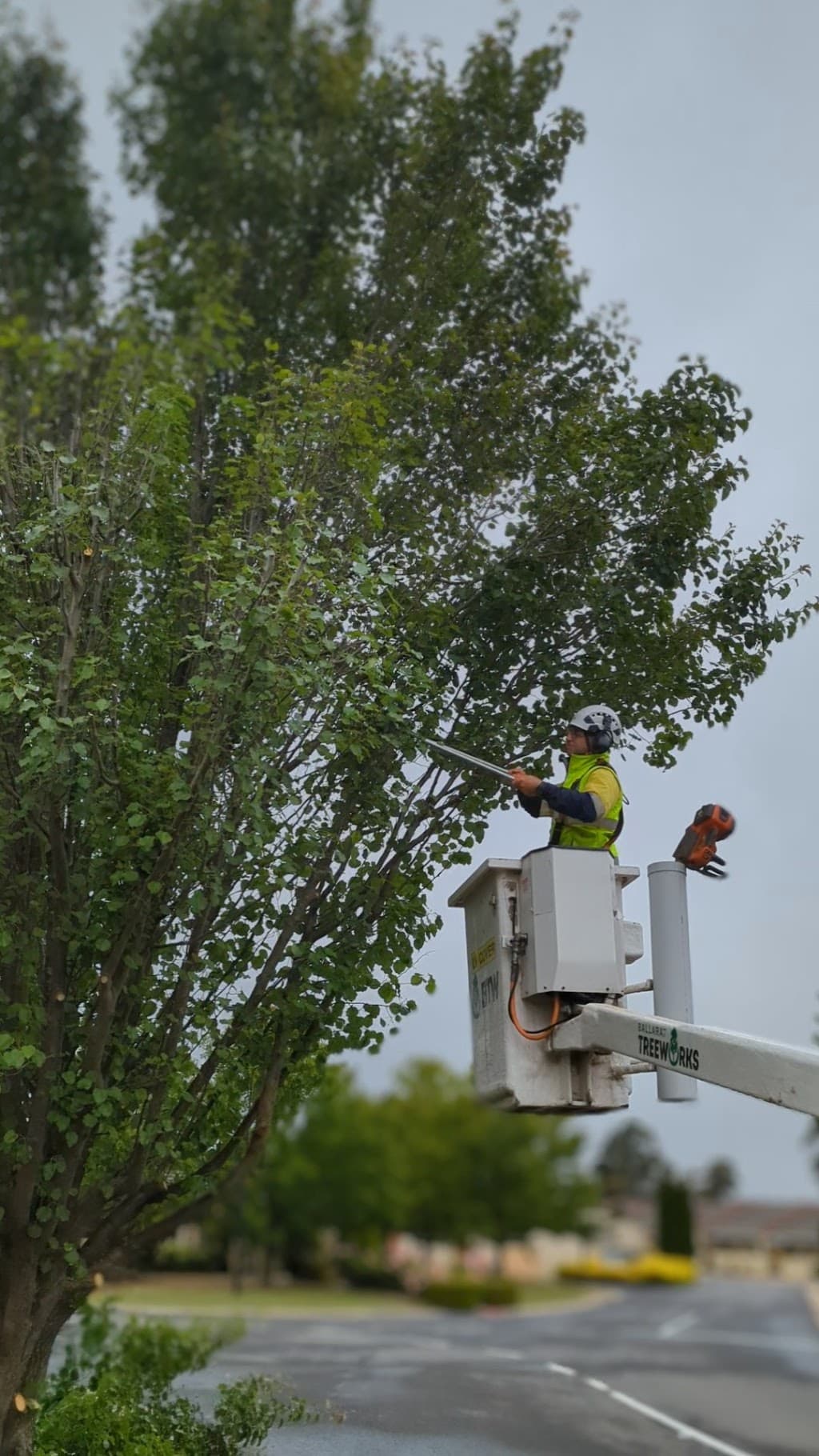Ballarat Treeworks