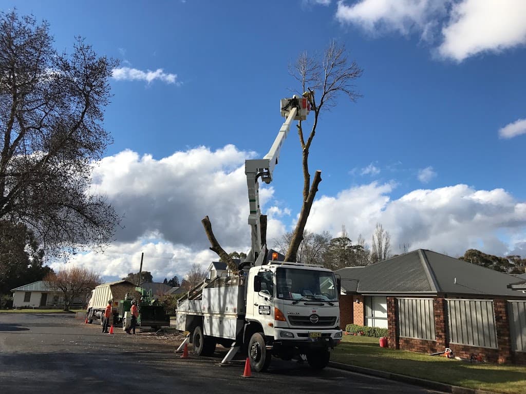 O.S. Trees Pty Ltd