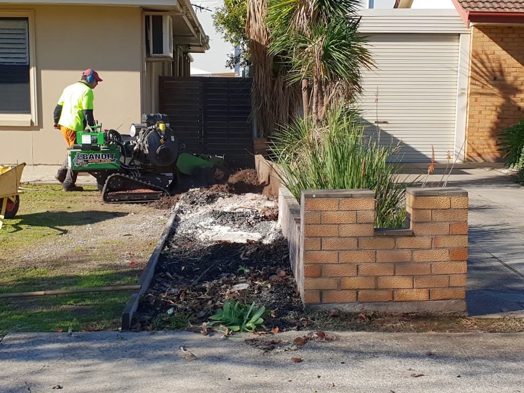 All Out Tree Removal Adelaide