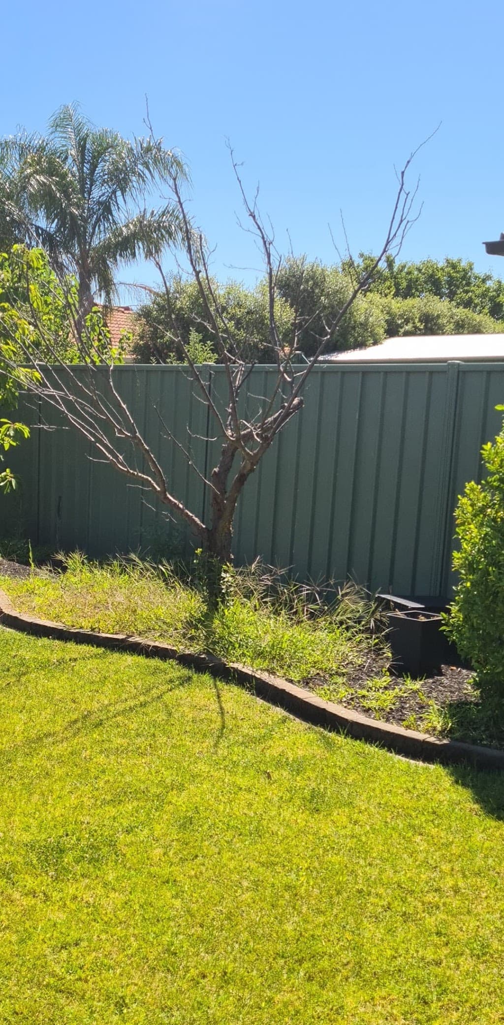 Mooroopna Mowing Services