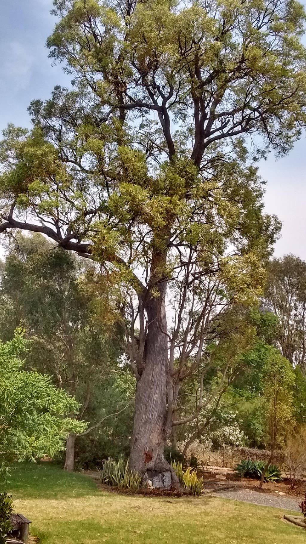 Treeswest Australia Pty Ltd