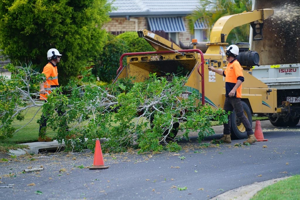 Budget Tree Service QLD