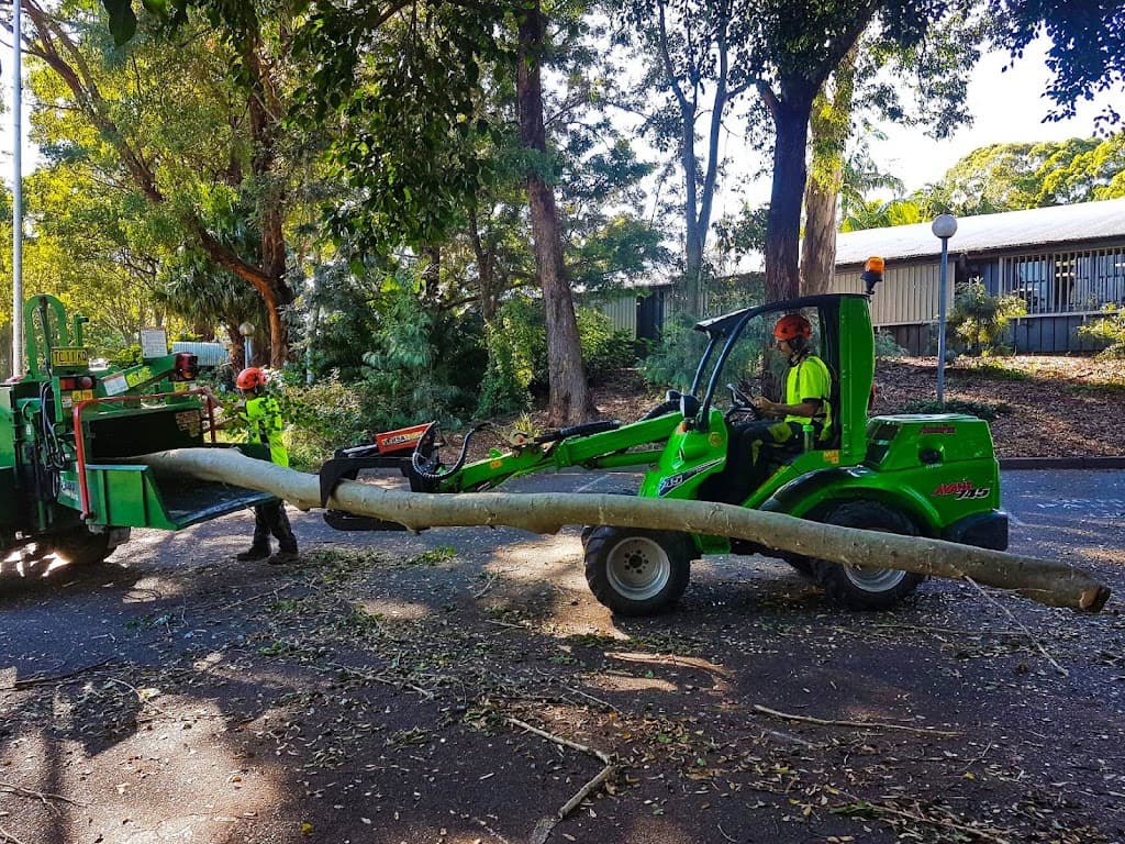 Sky's The Limit Tree Services