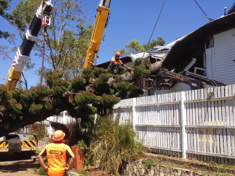 Total Tree Services