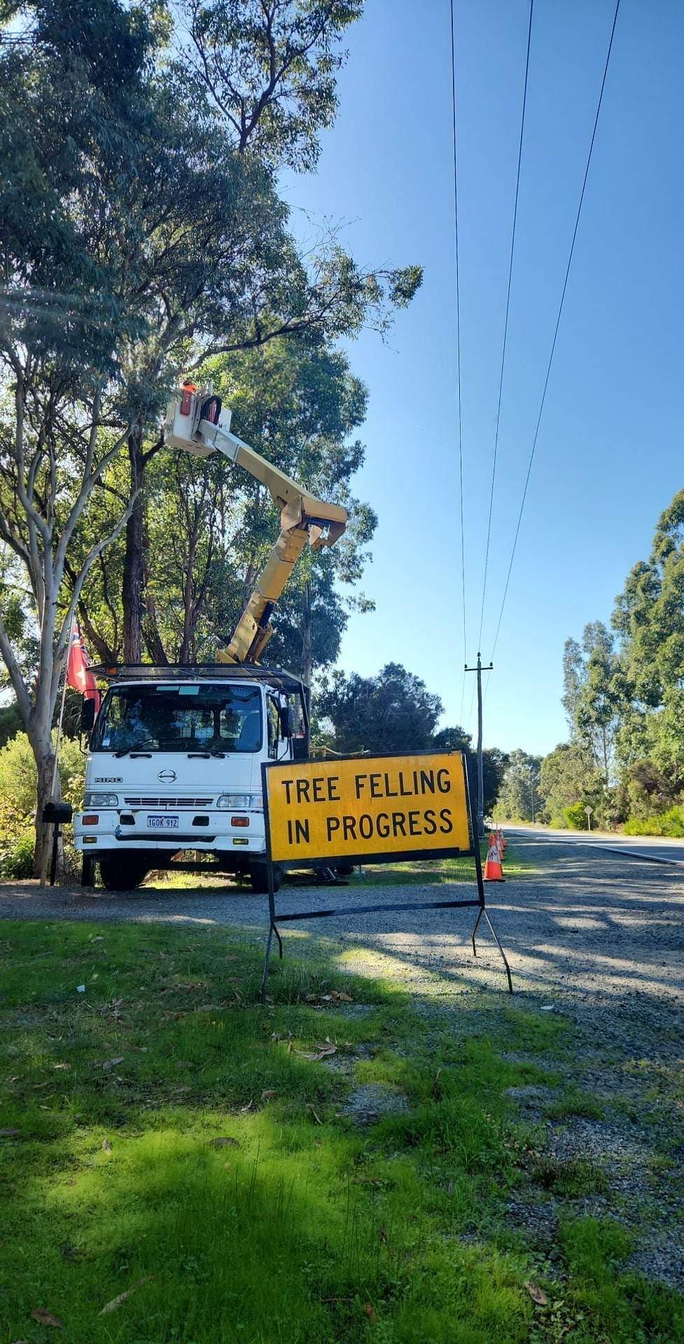 Pete's Treeworx