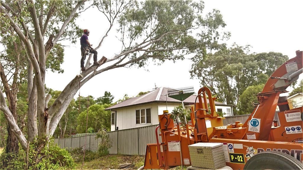 Agile Arbor Tree Services
