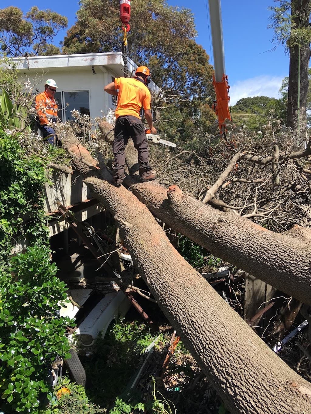 Total Tree Care Australia