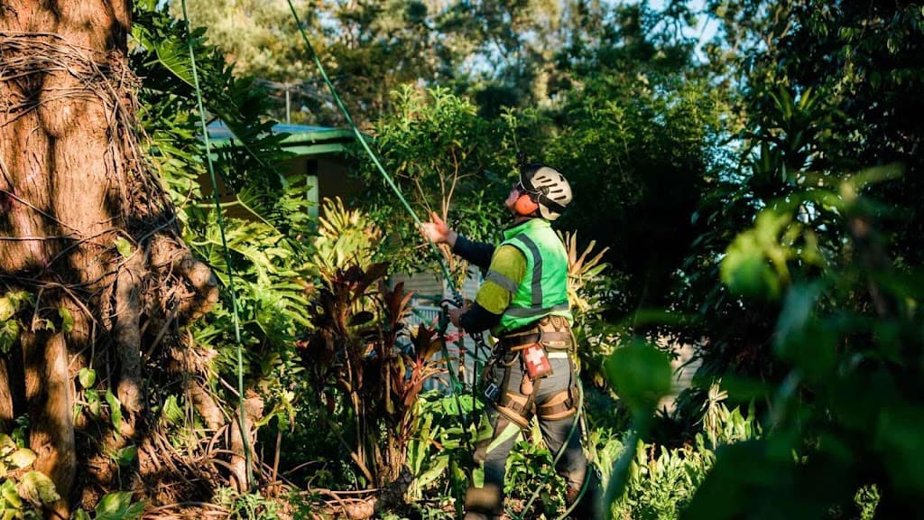 Garwood Tree Services