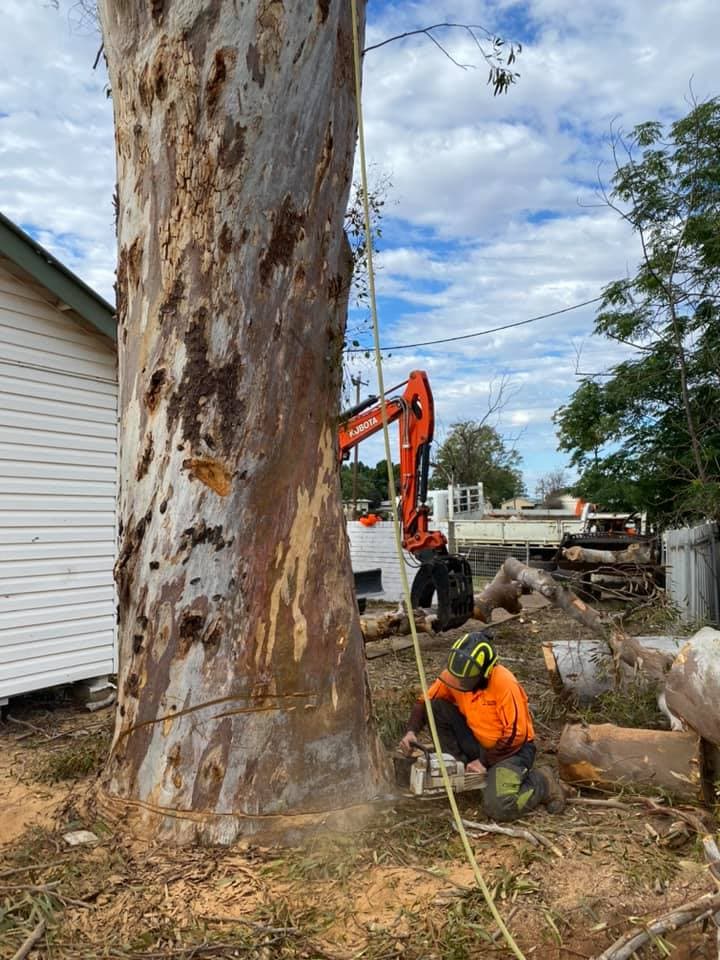 A1 Tree Services NSW