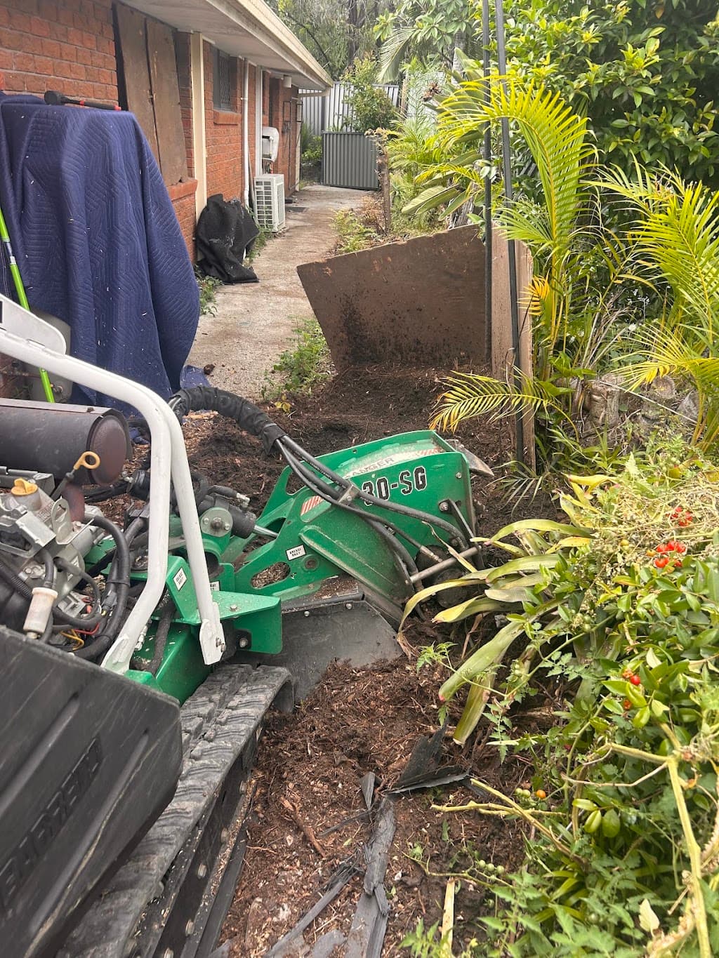 Stump Grinding Gold Coast