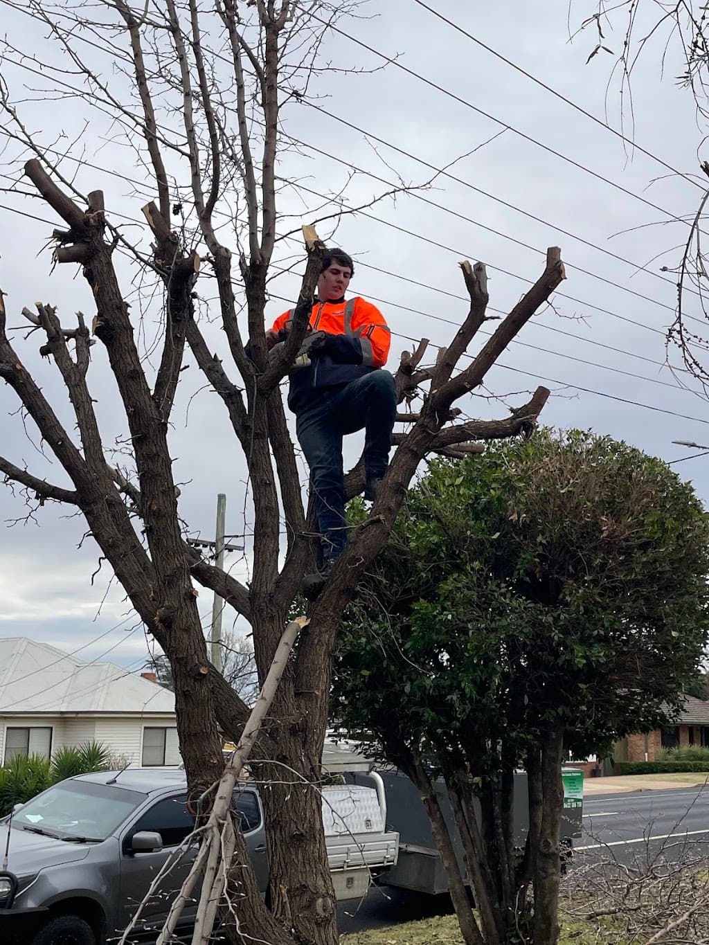 Yard King Dubbo Landscaping & Irrigation.