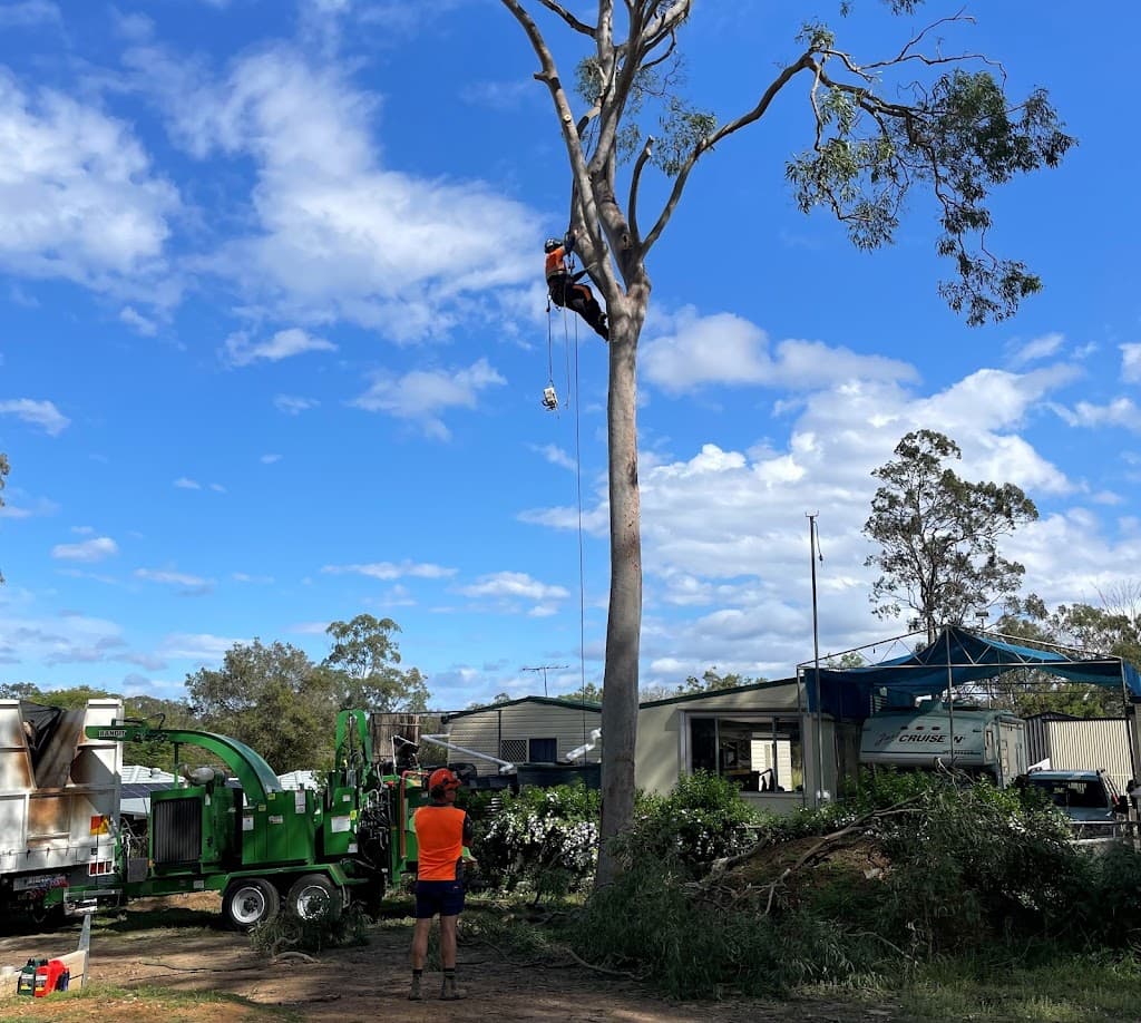 GDE Tree Services