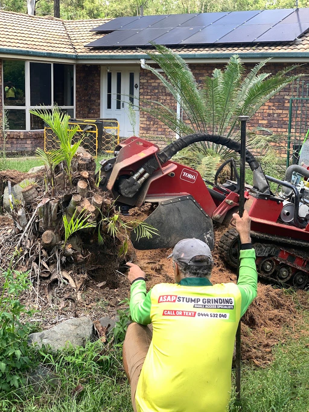 ASAP Stump Grinding