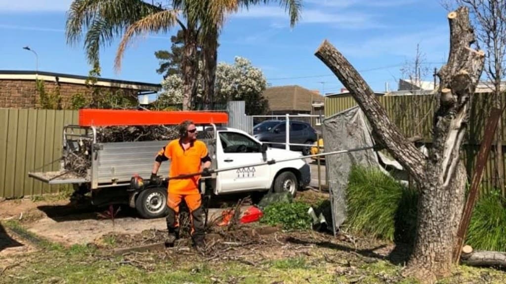 FTGU Tree Services