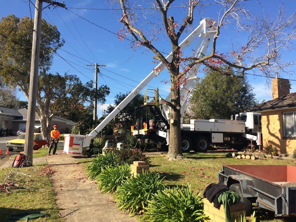 Max Tree Services