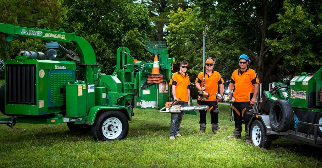 Stump’d Tree Removal Canberra