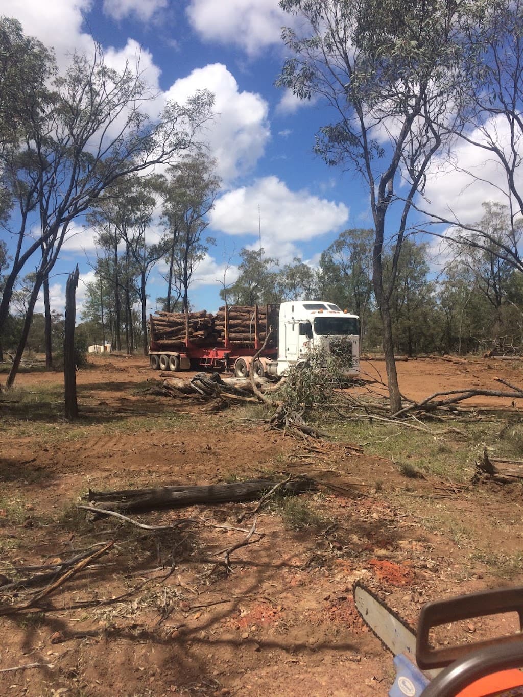 LRB Tree Services