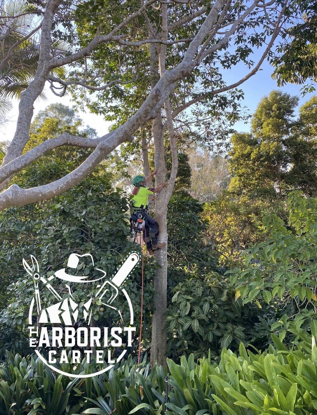 The Arborist Cartel