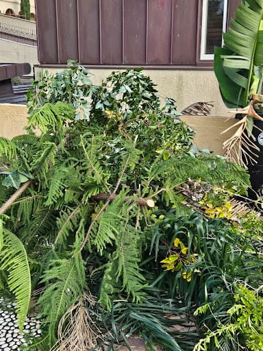 Home Trees Services — Customer photo