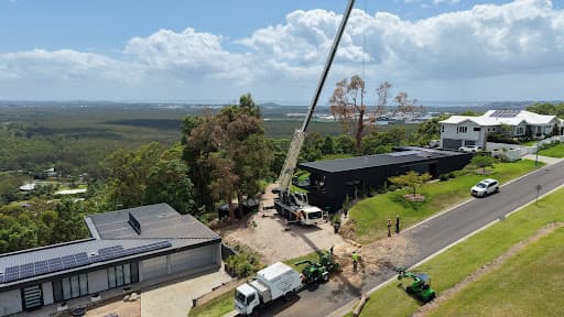 Woodys Tree & Stump Removal — Customer photo