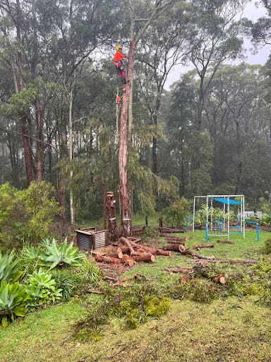 Touchwood Tree Services — Customer photo