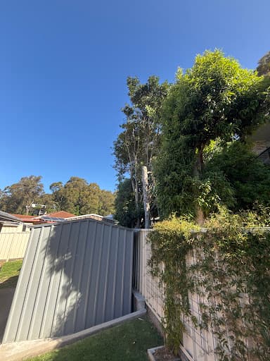 Touchwood Tree Services — Customer photo