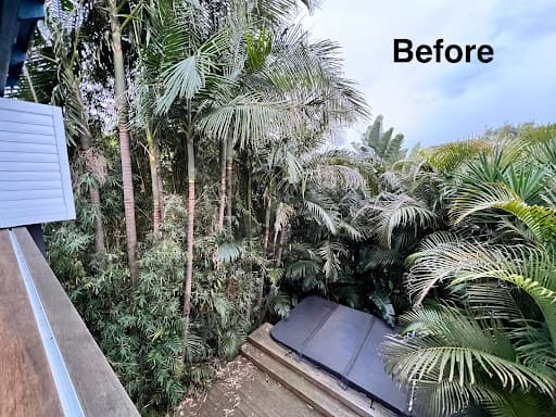 Shane's Trees - Wollongong — Customer photo