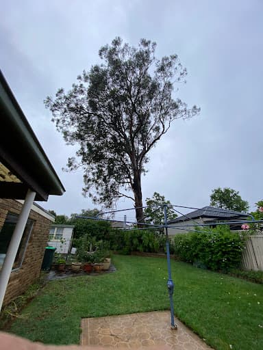 Tree Loppers Sydney-TLS — Customer photo