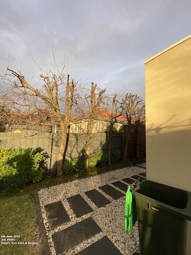 Victory Tree Care — Customer photo