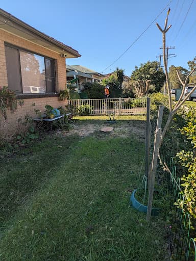 Clearview Tree Service — Customer photo