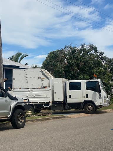 Townsville Stump Tree Surgeons — Customer photo