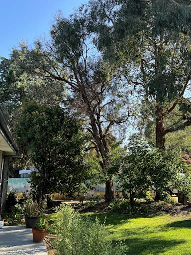 TreeWorks Canberra — Customer photo