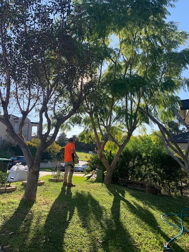 Hills District Stump Grinding Tree Removal Services — Customer photo