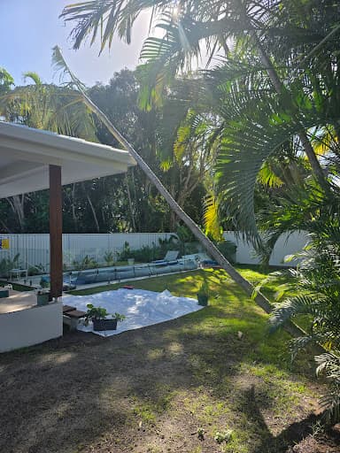 Caloundra Trees — Customer photo