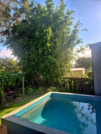 Clean Cut Tree Services — Customer photo