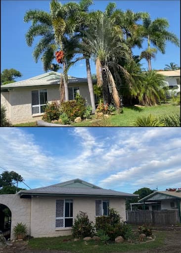 Black Forrest Tree Service — Customer photo
